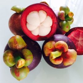 MĂNG CỤT