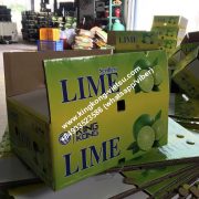 lime-seedless lime/vietnam lime/fresh seedless lime/export lime/lime export/lime of vietnam/fresh lime/ vietnam lime/vietnam fresh lime/vietnam seedless lime