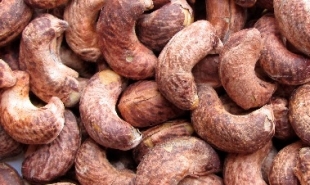 Cashew businesses worry about high price trap in 2018