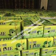 lime/seedless lime/vietnam lime/fresh seedless lime/export lime/lime export/lime of vietnam/fresh lime/ vietnam lime/vietnam fresh lime/vietnam seedless lime