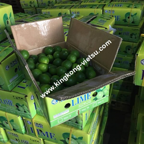lime-seedless lime/vietnam lime/fresh seedless lime/export lime/lime export/lime of vietnam/fresh lime/ vietnam lime/vietnam fresh lime/vietnam seedless lime