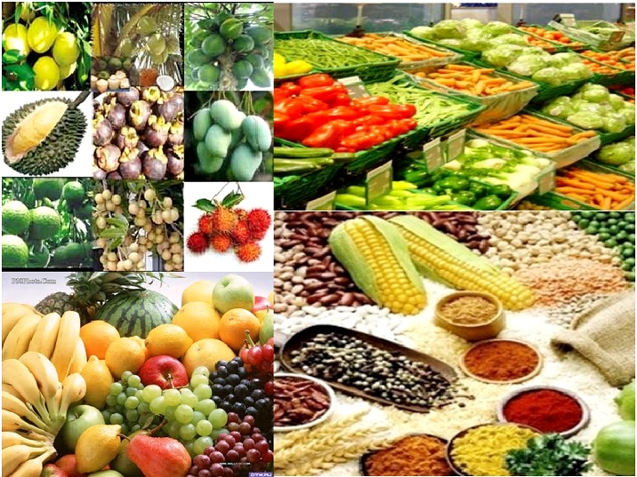 vn-farm-products-export-to-thailand-king-kong-import-export-co-ltd