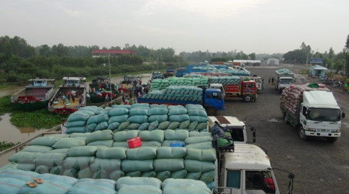 Agricultural product exports via Lao Cai border gate surge