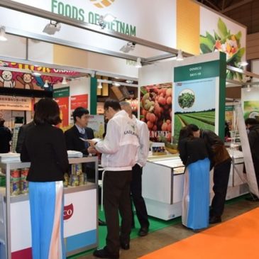 VN’s fruits getting popular in Japan