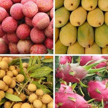 Vietnam’s exporters sell more fruit thanks to blockchain apps