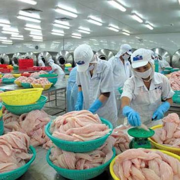 Seafood export expected to hit over US$8 billion this year