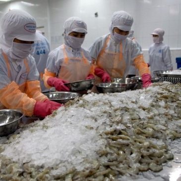 Shrimp export expected to top $4 billion