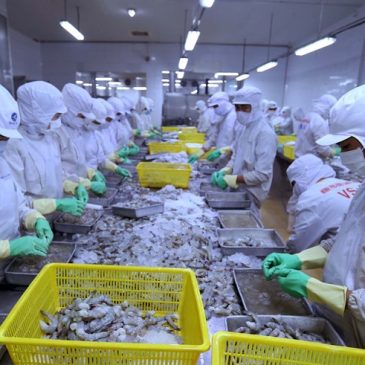 Fisheries industry sets export target of $10 billion