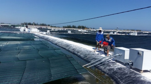 Quang Nam province debuts nano-tech shrimp farms